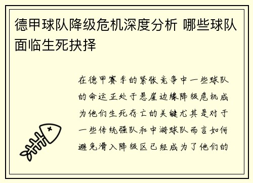 德甲球队降级危机深度分析 哪些球队面临生死抉择